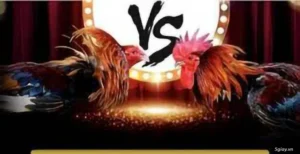 Hướng Dẫn Cách Chơi Đá Gà GA28 Tại J88 Đỉnh Cao Giải Trí 2025