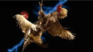 Khám Phá Cách Chơi Đá Gà WS168 Tại J88 Kịch Tính Hấp Dẫn 2025